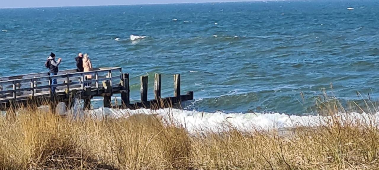 Ferienwohnung "Juliette" Zingst Eksteriør billede